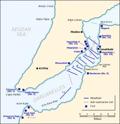 De mars 1915 à janvier 1916, Français et Britanniques se lancent dans une opération contre l'Empire ottoman, sur les détroits que celui-ci contrôle et où se situe sa capitale, Constantinople. Cette action militaire est appelée