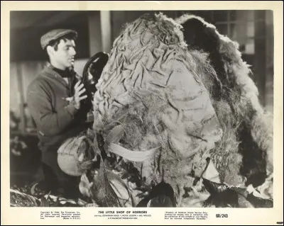 Comment est appelée la plante dans le film original de 1960 ?