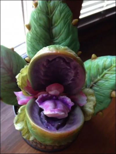 De quoi a besoin la plante pour survivre ?