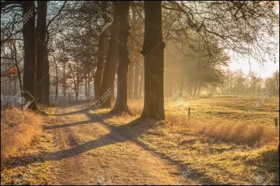 Quand il n'y a pas de neige en hiver tu...