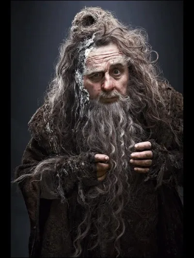 Quel est le nom de l'acteur qui joue le rôle de Radagast dans la trilogie "Le Hobbit" ?