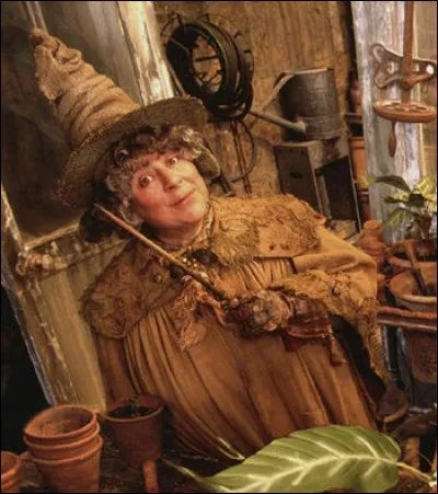 Quel est le nom de l'actrice qui joue le rôle de Pomona Chourave dans la saga "Harry Potter" ?