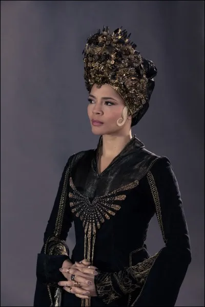 Quel est le nom de l'actrice qui joue le rôle de Seraphina Picquery dans les films "Les animaux fantastiques" ?