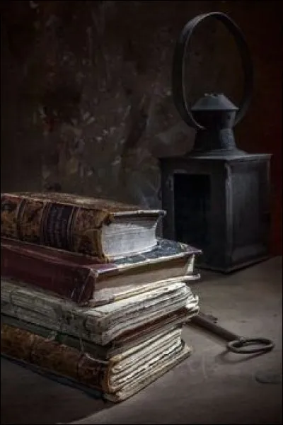 Qui a écrit "Le Château noir" ?