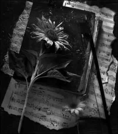 Qui a écrit "Le Fantôme de l'Opéra" ?