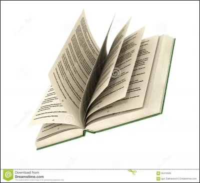 Si tu écrivais un livre, quel serait le sujet ?