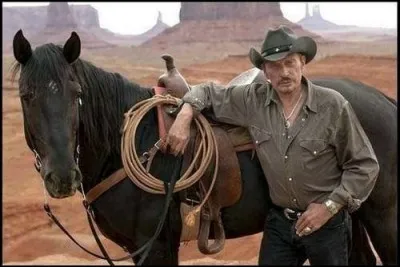 Johnny, acteur a participé à ... films.