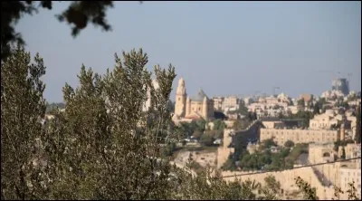 Quelle ville est séparée du mont des Oliviers par la vallée du Cédron ?