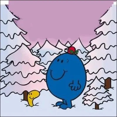 Concernant le sapin, Madame "Je-Sais-Tout" a acheté un épicéa, sapin qui ne perd pas ses aiguillons, selon ses dires !