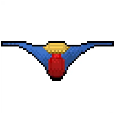 À qui ce slip appartient-il ?