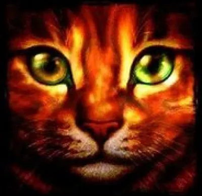 Qui est le personnage principal dans le premier cycle ?