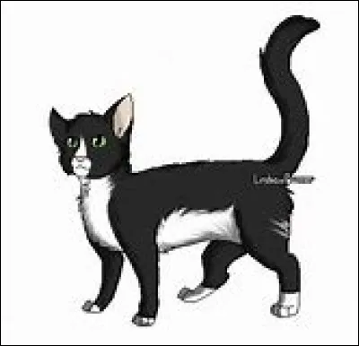 Dans "Minuit", qui est l'élu du Clan du Vent ?