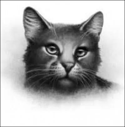 Qui sont les parents d'Œil de Geai ?