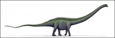 Quel est le plus long de ces trois dinosaures ?
