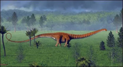 Lequel de ces dinosaures avait le plus long cou ?