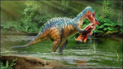 Quel est ce dinosaure ?