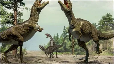 Quel était le plus grand des Tyrannosauridés ?