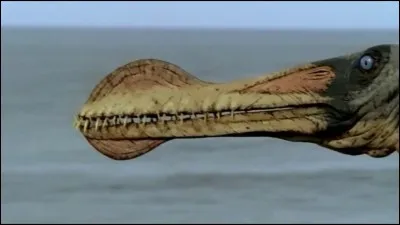 Quel Ptérosaure avait la plus grande envergure ?