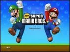 En quoi consiste New Super Mario Bross?