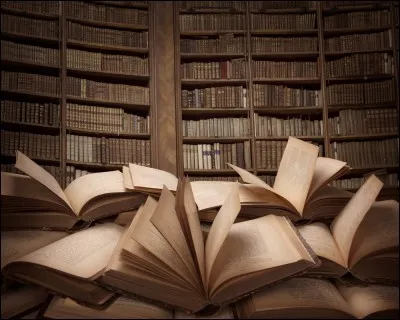 Qui est l'auteur du livre ?