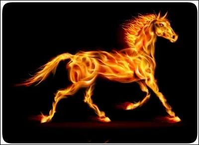 Et qui est le cheval de feu ?