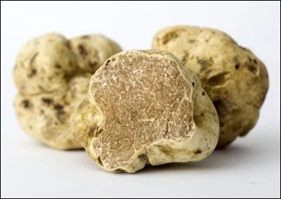 Ce champignon est le plus cher du marché, et peut être mangé cru :