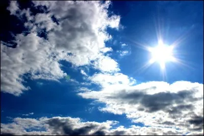 Tu as un caractère plutôt :