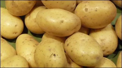 Qu'est-ce qui est représenté ici ?