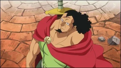 Ce personnage vit à Dressrosa ! Comment s'appelle-t-il ?