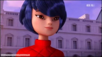 Quelle est l'origine de Kagami ?