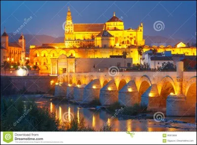 En Espagne, Le Guadalquivir traverse Cordoue.
