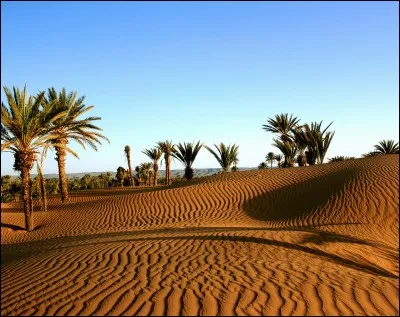 On y trouve de vastes étendues de désert.