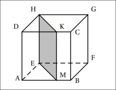 Sur l'image suivante, la section KMEH du cube ABCDEFGH par un plan parallèle à une de ses arêtes est...