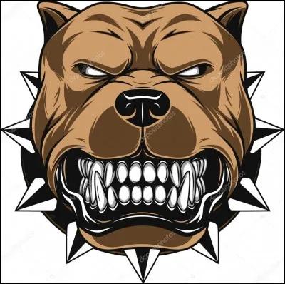 Si vous êtes mordu, quel adjectif vous correspond ?