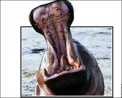 Sentez-vous le danger ?