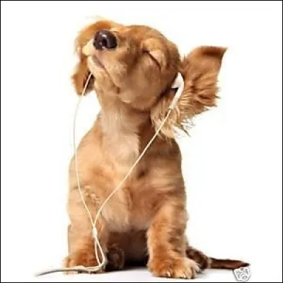 Dans la vie, qu'est-ce que tu fais ?