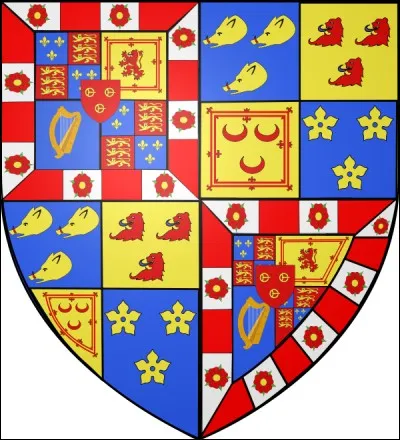 En héraldique, ces blasons que s'offrent aujourd'hui ceux qui le peuvent, le jaune porte un nom particulier qui reste d'actualité lui aussi, lequel ?