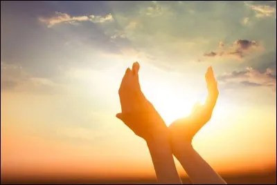 Le soleil se lève _____ dans presque tous les pays du monde.