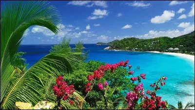 Finish, les océans du Nord ont été créés ! T'en dis quoi ?