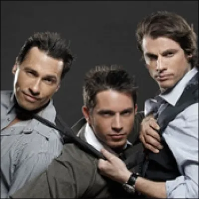 Quel boys band a repris le titre ''Je te donne'' de Jean-Jacques Goldman et Michael Jones ?