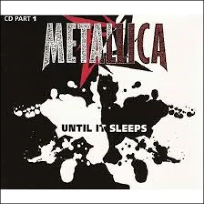 Metallica a sorti ''Untill It Sleeps''. Quel est le style de musique de ce groupe californien ?