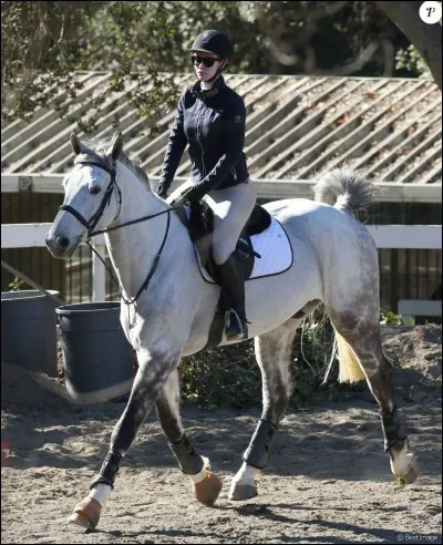 Combien de temps par semaine passes-tu à monter ?