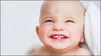 L'Homme est pourvu de 8 incisives.