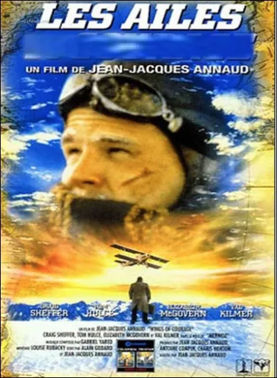 Quel est ce film ?