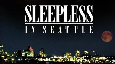 Qui sont les deux acteurs principaux de "Nuits blanches à Seattle" ?