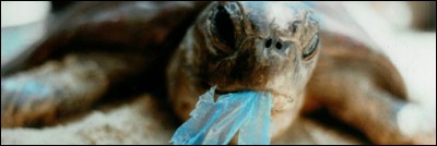 Combien de plastique est déversé dans les océans par an ?