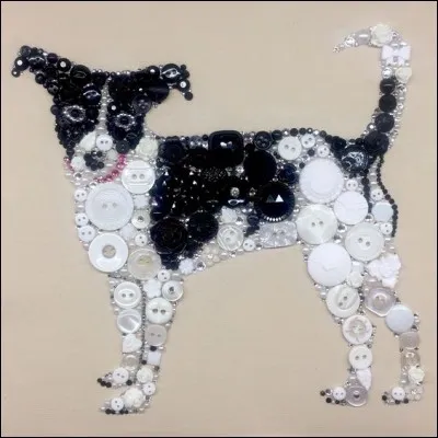 À quoi ressemble ce chien ?