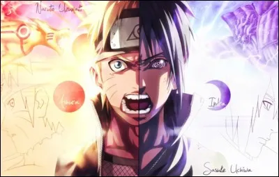 Qui est le meilleur ami de Sasuke ?
