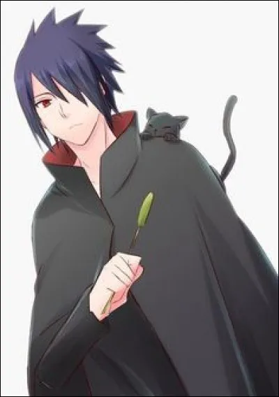 Quand Sasuke rejoint Konoha, pourquoi repart-il en sortant de prison ?