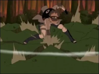 Sakura est un Ninja médecin, mais elle a aussi une force démentielle ! Qui le lui a apprit ?